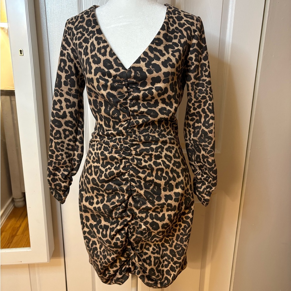 Zara Leopard Print Dress